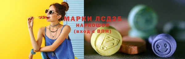 стаф Алексин