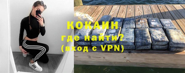 стаф Алексин