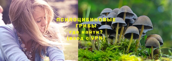 стаф Алексин